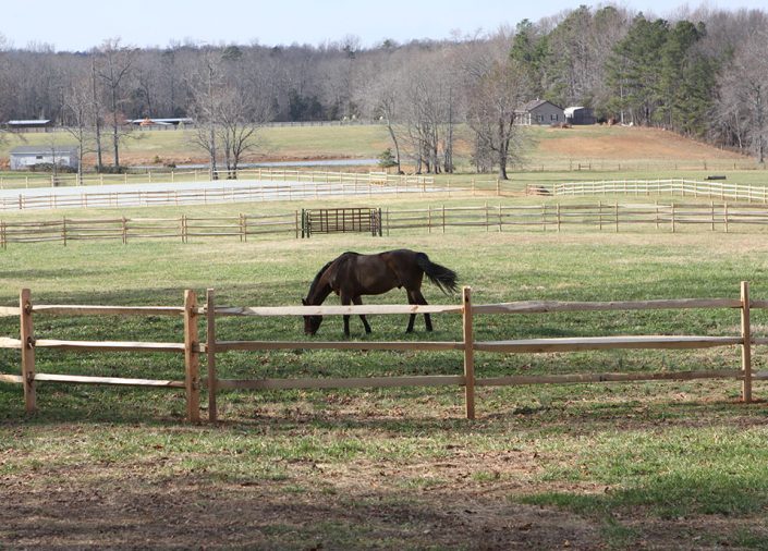 Horse Fencing