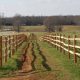 Horse Fencing