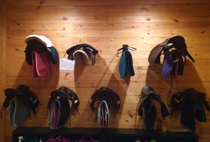 Commercial Horse Barns