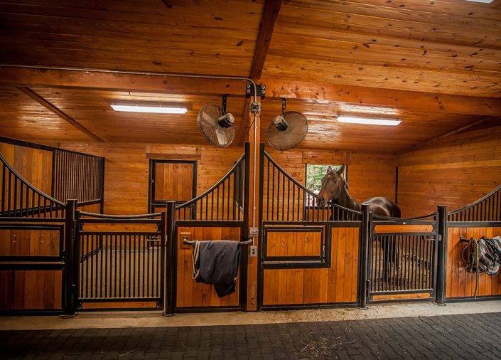 Commercial Horse Barns