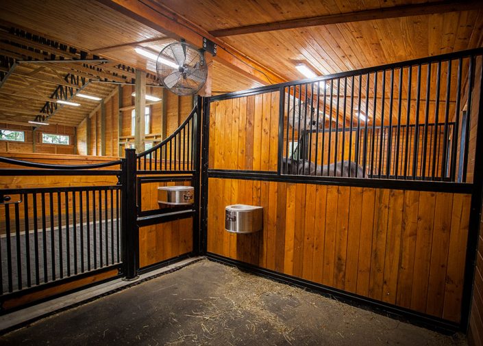 Commercial Horse Barns