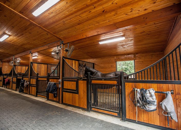 Commercial Horse Barns